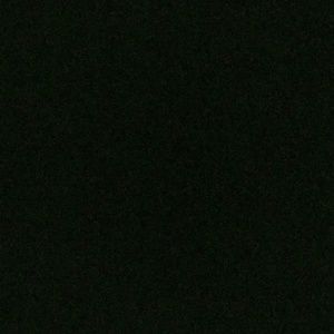 Meet your Posher, Frankie